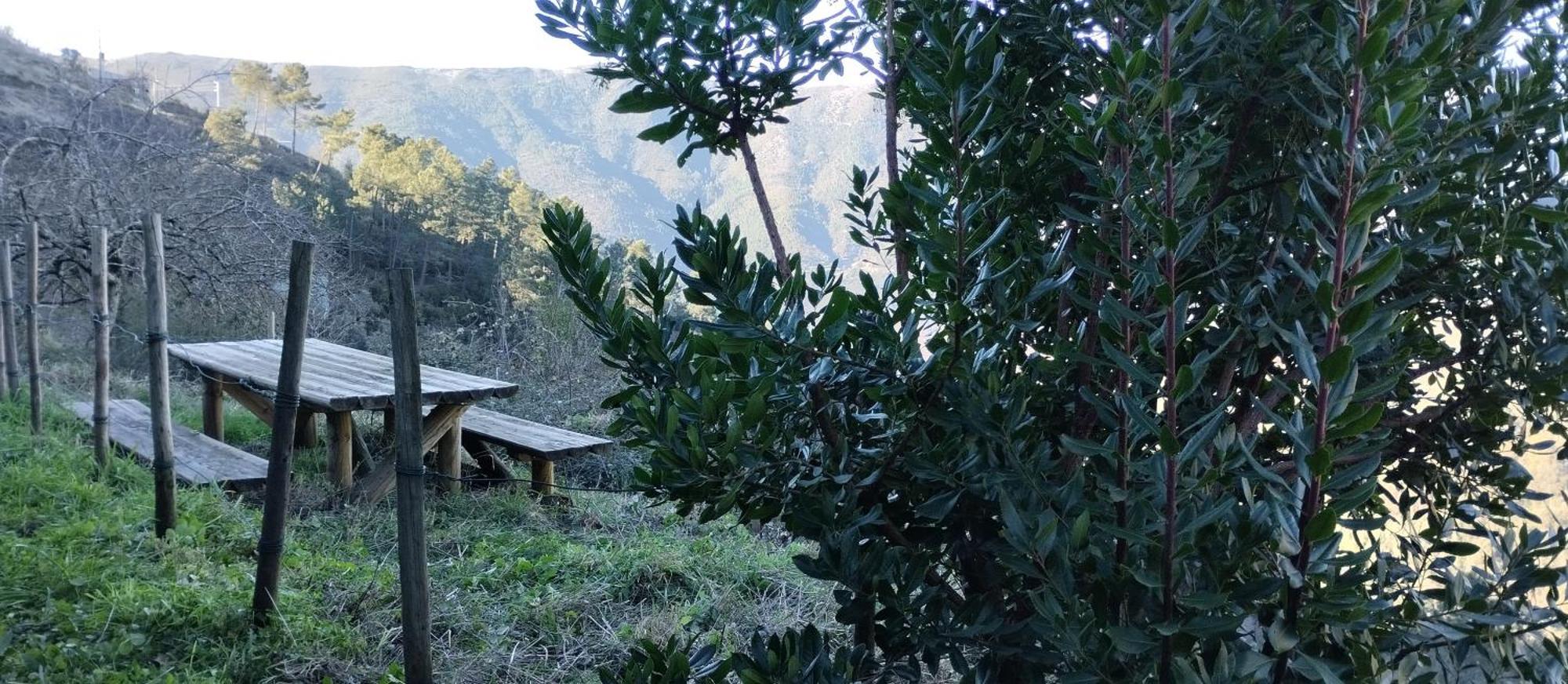 Casa Da Quelha Guest House Chas de Egua Eksteriør bilde